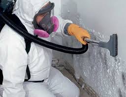 Mold Remediation for Rental Properties in Wauwatosa, WI